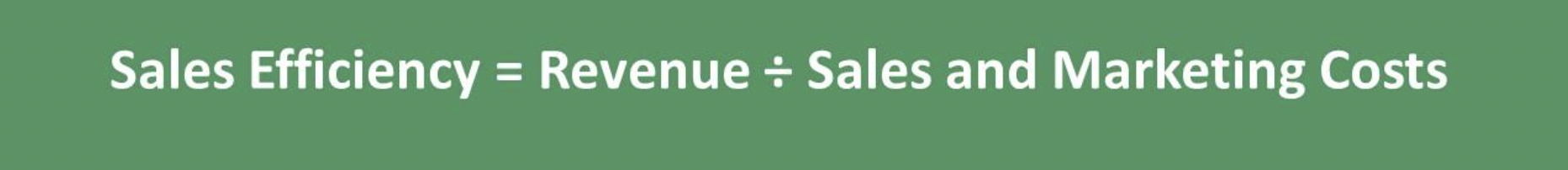 Sales Efficiency