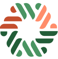 N4W Logo